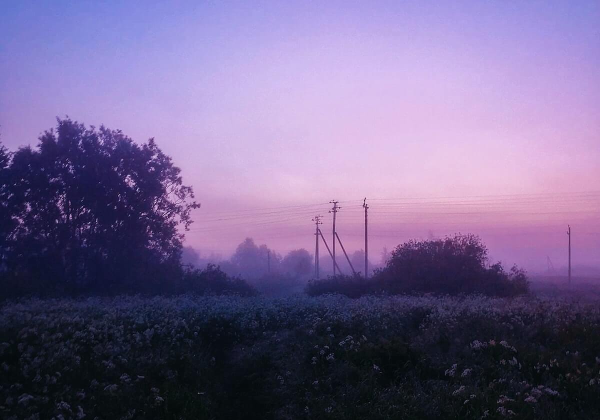 皇冠官方-开云官网：引领数字时代的信任与体验